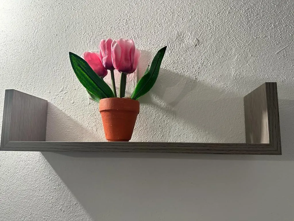 פלרמו Papireto'S Home